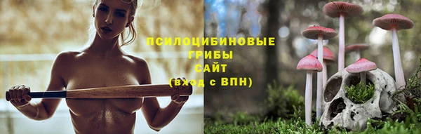 a pvp Арсеньев