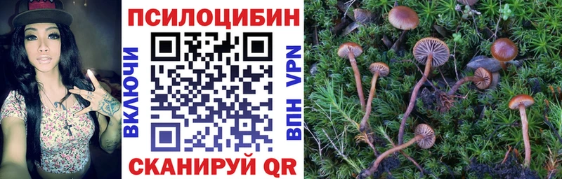 Галлюциногенные грибы Magic Shrooms  купить   Светлоград 